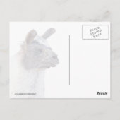 A Happy Llama Briefkaart (Achterkant)
