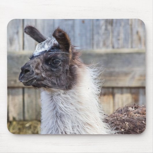 A Happy Llama Muismat (Voorkant)