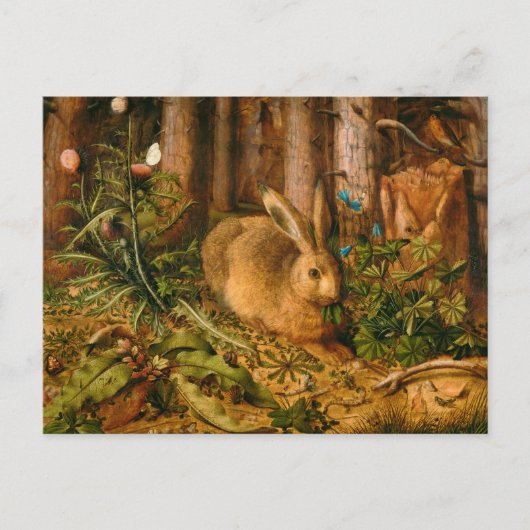 A Hare in Forest door Hans Hoffmann Briefkaart (Voorkant)