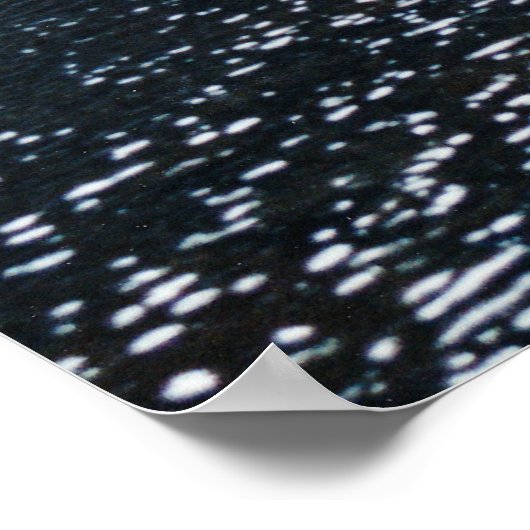 A Healer's Boat Poster (Hoek)