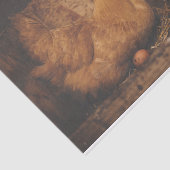 A Hen en Hare Eggs Tissue Paper Tissuepapier (Detail)