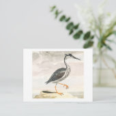 A Heron door Johan Teyler  Bird Art Briefkaart (Staand voorkant)
