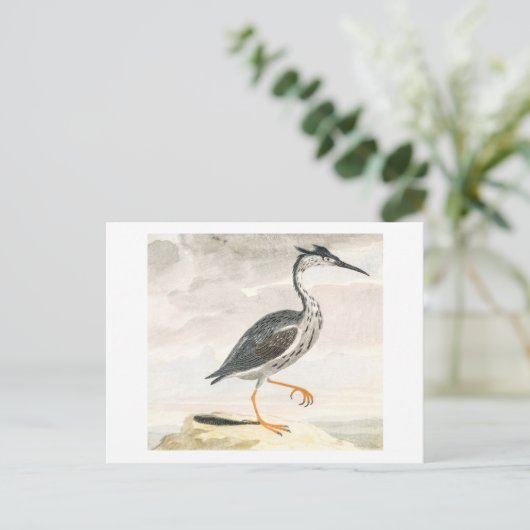 A Heron door Johan Teyler  Bird Art Briefkaart (Staand voorkant)