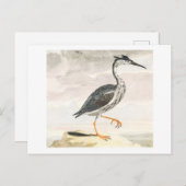 A Heron door Johan Teyler  Bird Art Briefkaart (Voorkant / Achterkant)