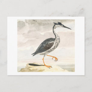 A Heron door Johan Teyler  Bird Art Briefkaart