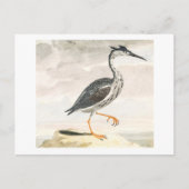 A Heron door Johan Teyler  Bird Art Briefkaart (Voorkant)
