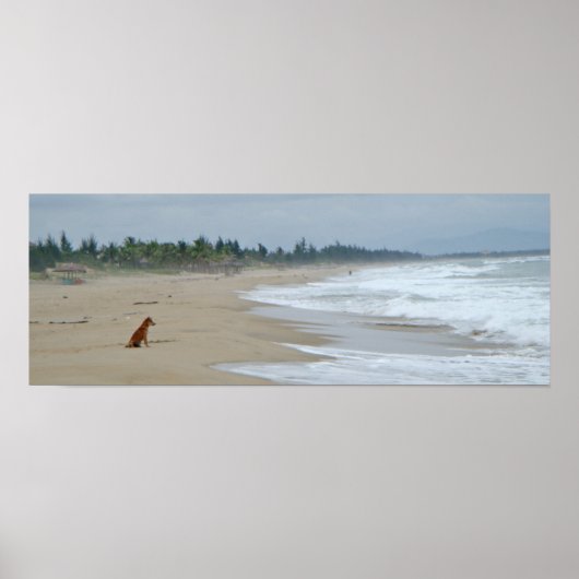 A Honden leven Poster (Voorkant)