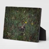 A Horned Lark Fotoplaat (Zijkant)