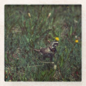 A Horned Lark Glazen Onderzetter (Voorkant)