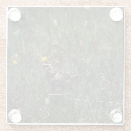 A Horned Lark Glazen Onderzetter (Achterkant)