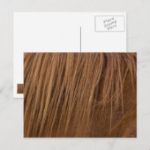 A Horse Mane Briefkaart (Voorkant / Achterkant)