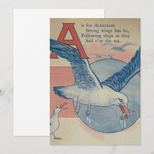 A is voor Albatross - Flat Bedankt voor je kaart (Voorkant / Achterkant)