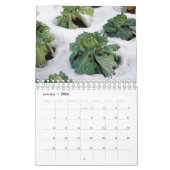 A Jaar in de biologische tuin Kalender (Jan 2026)