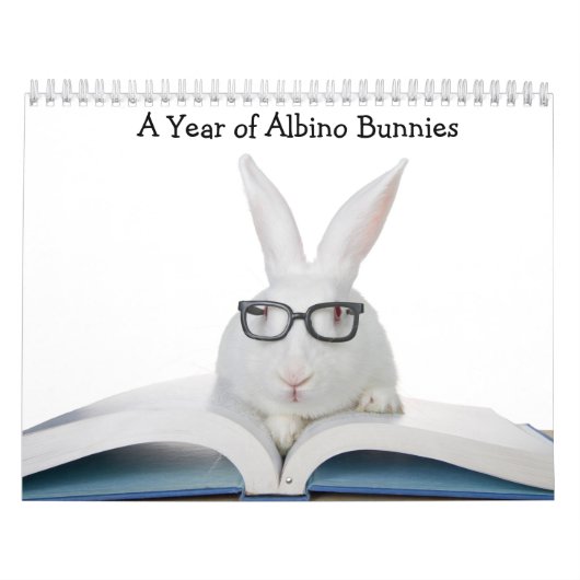 A Jaar van de Bunnies van Albino Kalender (Hoes)