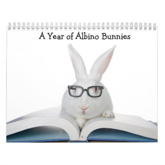 A Jaar van de Bunnies van Albino Kalender