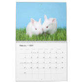 A Jaar van de Bunnies van Albino Kalender (Feb 2027)