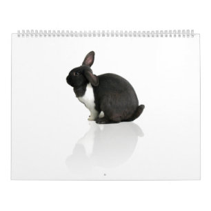 A Jaar van de Rupert Kalender