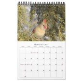 A Jaar van kardinaalkalender Kalender (Feb 2027)