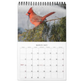 A Jaar van kardinaalkalender Kalender (Mar 2027)