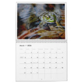 A Jaar van kikkers 2 Kalender (Mar 2026)