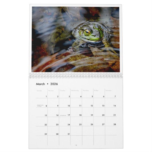A Jaar van kikkers 2 Kalender (Mar 2026)