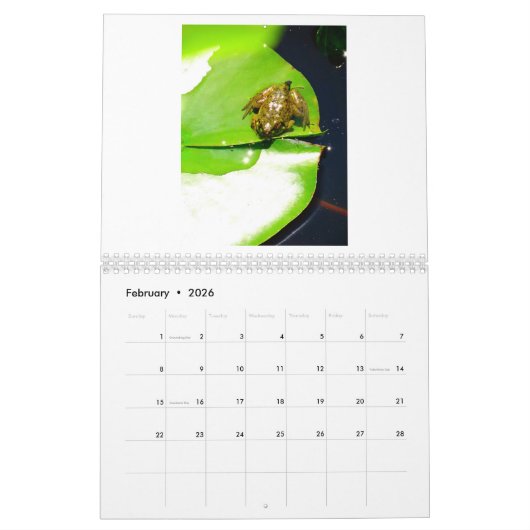 A Jaar van kikkers 2 Kalender (Feb 2026)