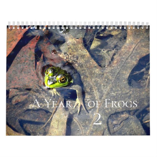 A Jaar van kikkers 2 Kalender (Hoes)