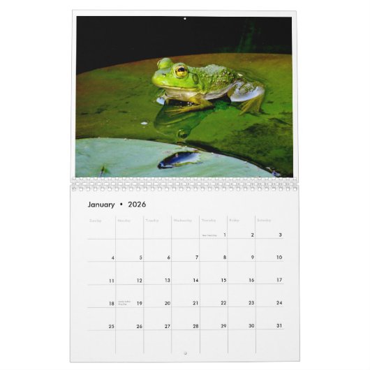 A Jaar van kikkers 2 Kalender (Jan 2026)