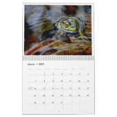 A Jaar van kikkers 2 Kalender (Mar 2027)