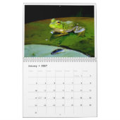 A Jaar van kikkers 2 Kalender (Jan 2027)
