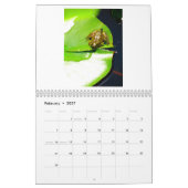 A Jaar van kikkers 2 Kalender (Feb 2027)