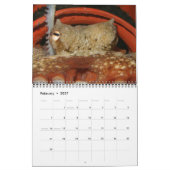 A Jaar van Octopuses Agenda Kalender (Feb 2027)