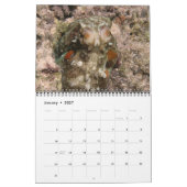 A Jaar van Octopuses Agenda Kalender (Jan 2027)