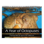 A Jaar van Octopuses Agenda Kalender (Hoes)