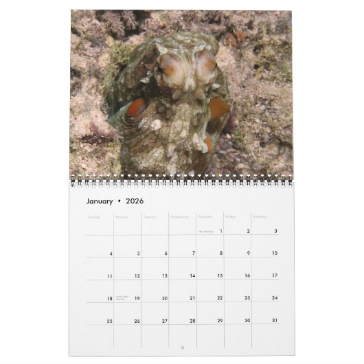 A Jaar van Octopuses Agenda Kalender (Jan 2026)
