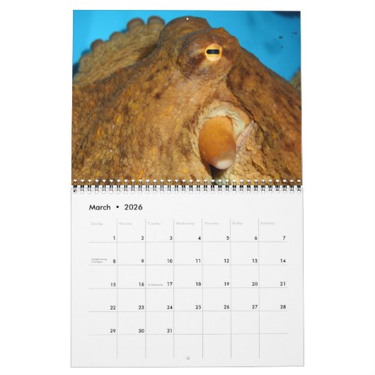 A Jaar van Octopuses Agenda Kalender (Mar 2026)
