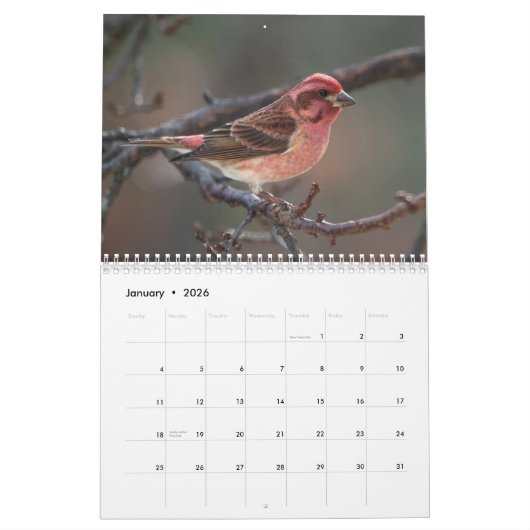 A jaar vogelkalender kalender (Jan 2026)