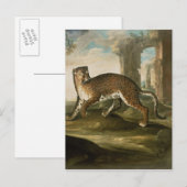 A Jaguar Briefkaart (Voorkant / Achterkant)