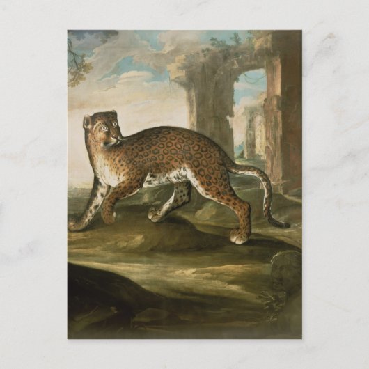 A Jaguar Briefkaart (Voorkant)
