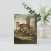 A Jaguar Briefkaart (Staand voorkant)
