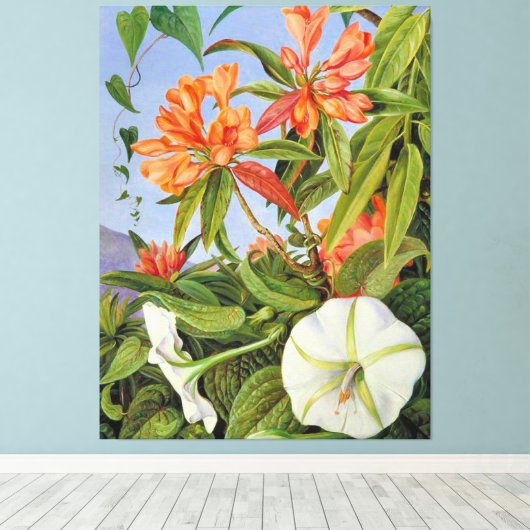 A Javan Rhododendrum en Ipomoea Canvas Afdruk (Insitu (Houten vloer))