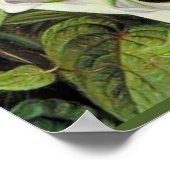 A Javan Rhododendrum en Ipomoea Poster (Hoek)