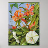 A Javan Rhododendrum en Ipomoea Poster (Voorkant)