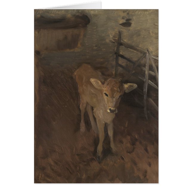 A Jersey Calf (Voorkant)