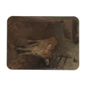 A Jersey Calf Magneet (Horizontaal)