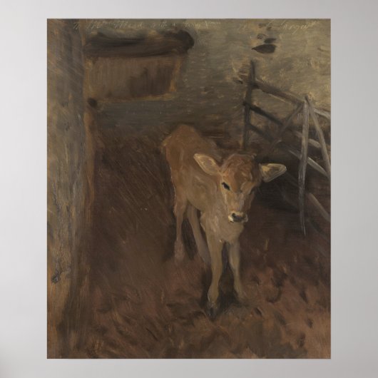 A Jersey Calf Poster (Voorkant)