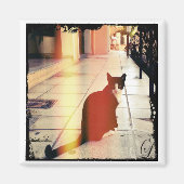 A Kat Magneet (Voorkant)