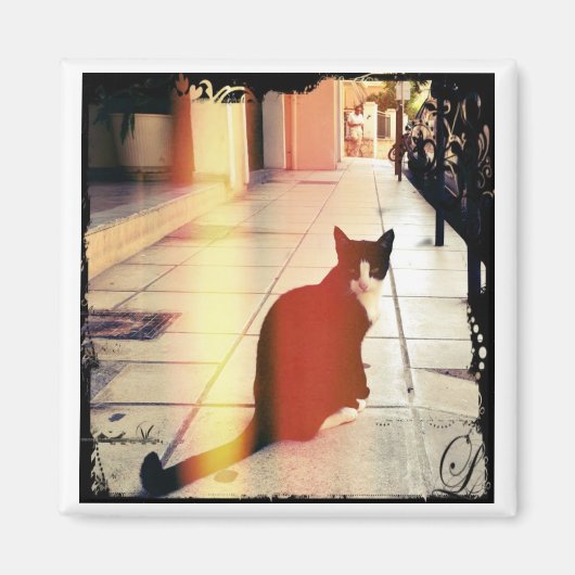 A Kat Magneet (Voorkant)