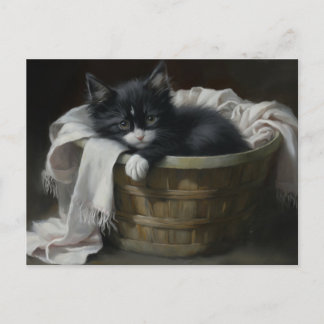 A Kittens Cozy Corner Briefkaart