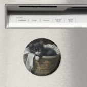 A Kittens Cozy Corner Magneet (Insitu (Vaatwasser))